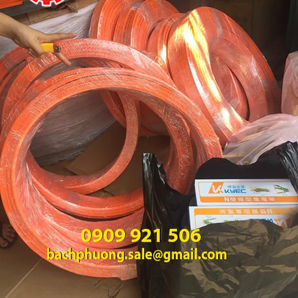 Ray điện cầu trục Kyec 3P50A
