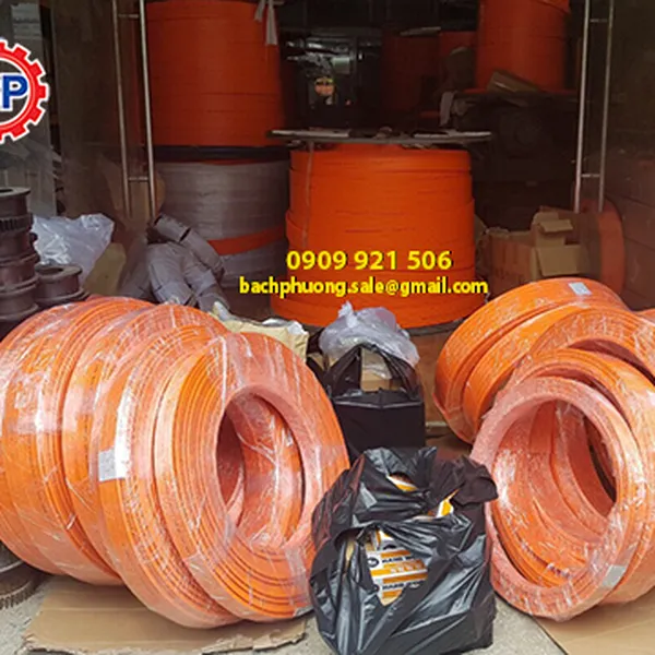 Ray lấy điện an toàn cầu trục