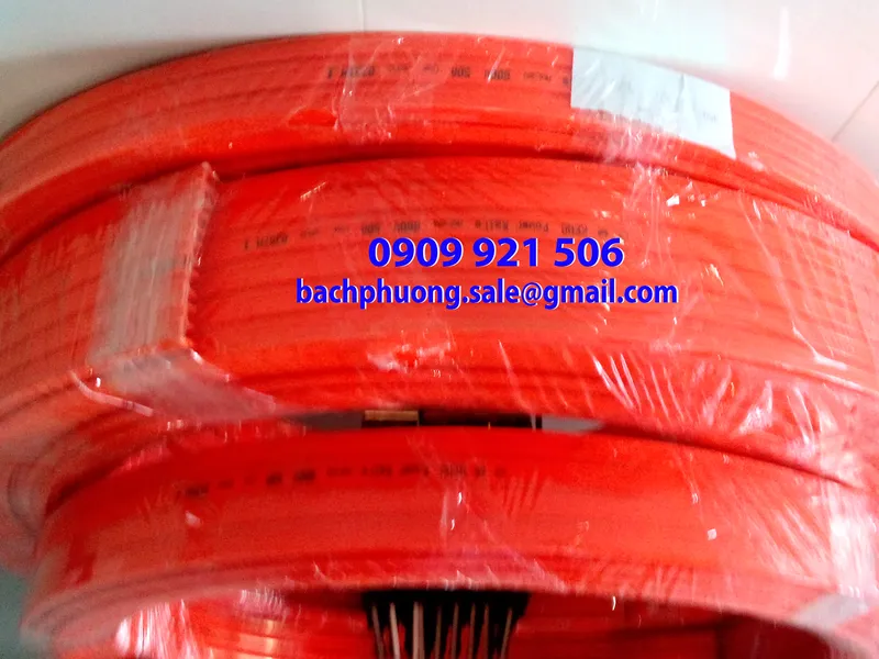 Các loại ray điện cho cầu trục