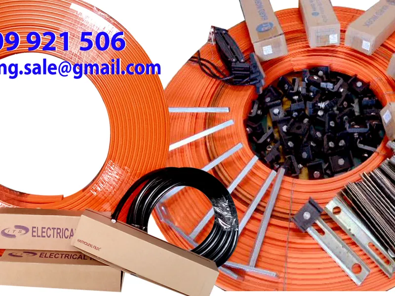 Ray điện an toàn ITS