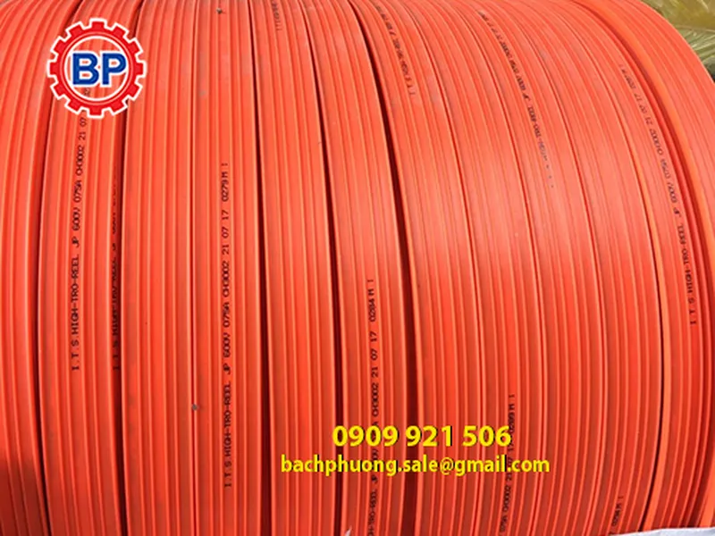 Ray điện cầu trục chính hãng