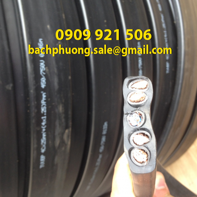 Cáp dẹt ray C cầu trục 10C x1.25mm Cáp dẹt ray C cầu trục 10C x1.25mm