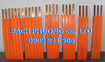 Ray điện an toàn cầu truc 6P Ray điện an toàn cầu truc 6P