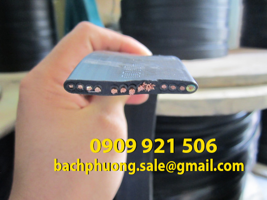 Cáp điện dẹp cầu trục Cáp điện dẹp cầu trục