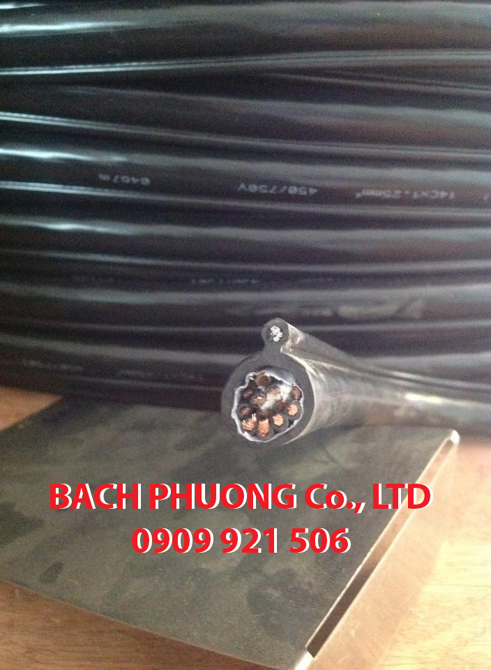 Dây cáp điều khiển cho tay bấm cầu trục Dây cáp điều khiển cho tay bấm cầu trục