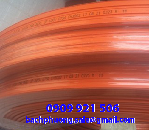 Giá ray điện cầu trục 3P50A Giá ray điện cầu trục 3P50A