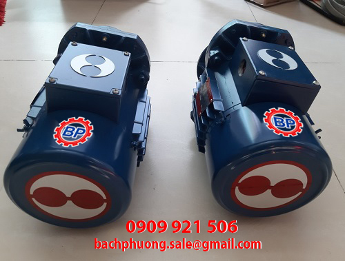 Motor dầm biên các loại Motor dầm biên các loại