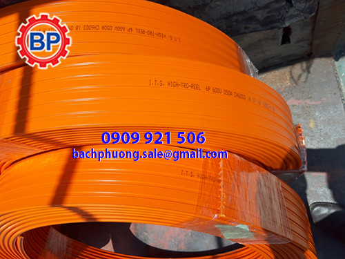 Ray điện an toàn cầu trục ITS Ray điện an toàn cầu trục ITS