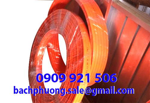 ray điện cầu trục - 3P 50A ray điện cầu trục - 3P 50A