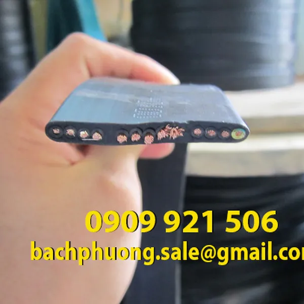 Cáp dẹp ray C cầu trục
