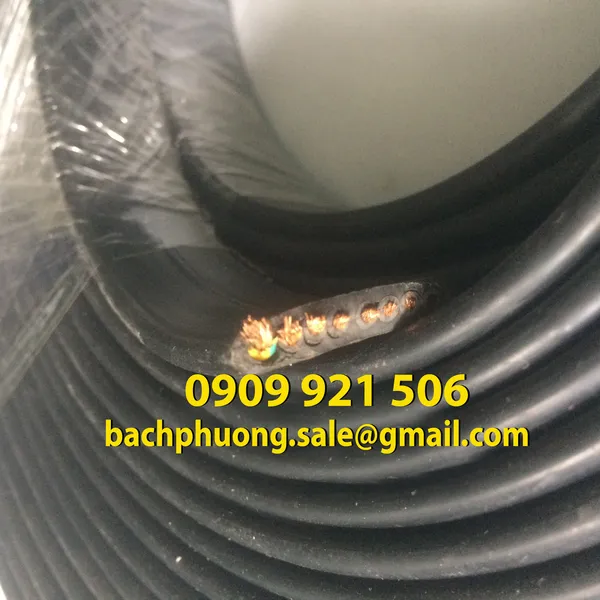 Cáp dẹt ray C cầu trục 10C x1.25mm