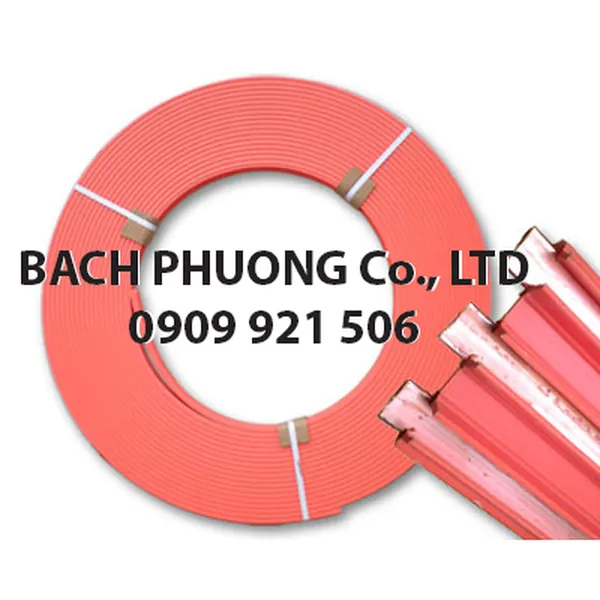 Ray điện an toàn cầu trục 3P