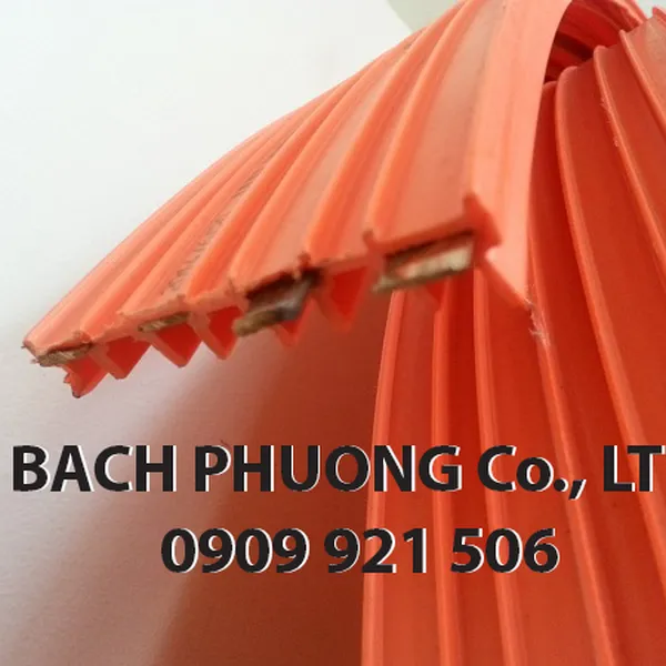 Ray điện an toàn cầu trục 4P