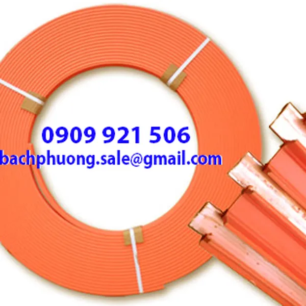 Ray điện an toàn cầu trục các loại