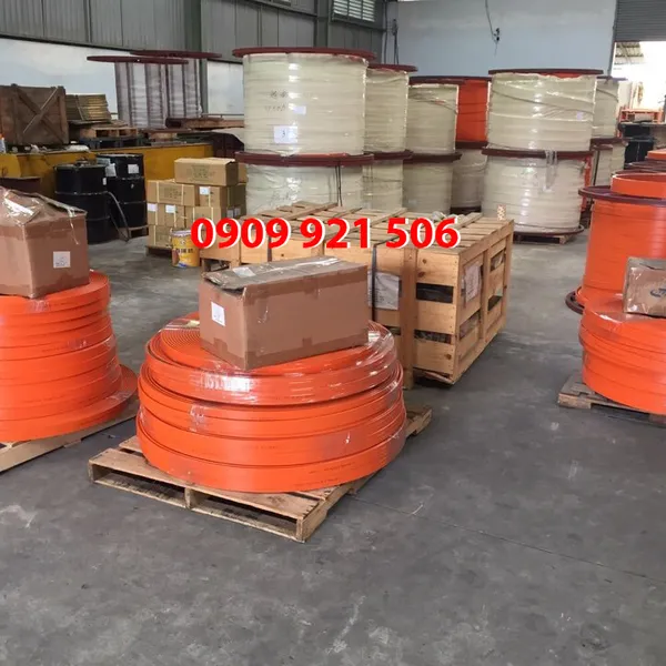 Ray điện cầu trục chính hãng