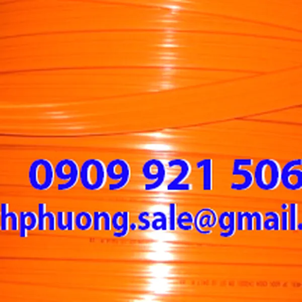 Ray điện thanh quẹt 6P-50A