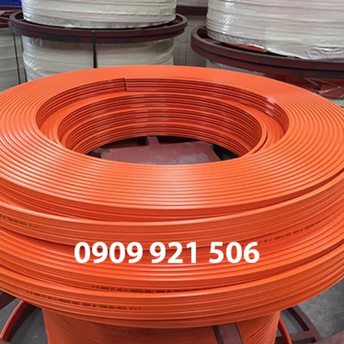 Ray điện an toàn cầu trục 3P50A