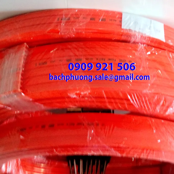 Ray điện cầu trục 3P-50A và 3P-75A