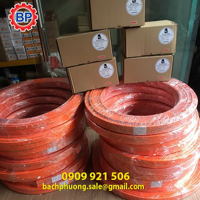 Ray điện cầu trục 3P50A