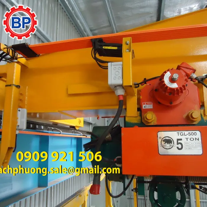 Ray điện cầu trục là gì ?