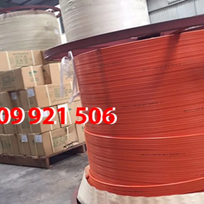 Ray lấy điện cầu trục 3P, 4P, 6P