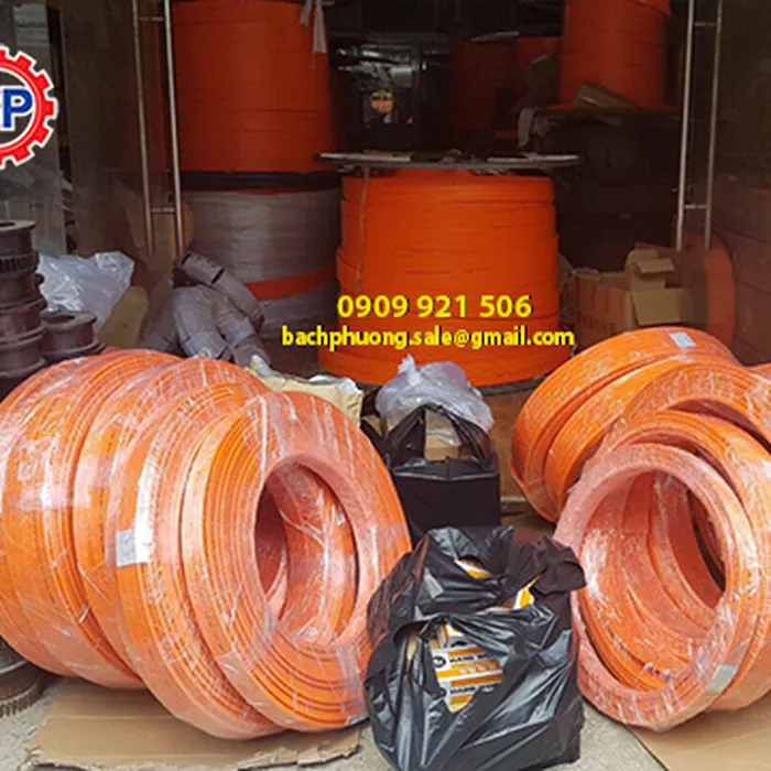 Ray lấy điện cầu trục