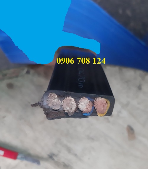 Cáp điện dẹp cầu trục 4C x 25 mm Cáp điện dẹp cầu trục 4C x 25 mm