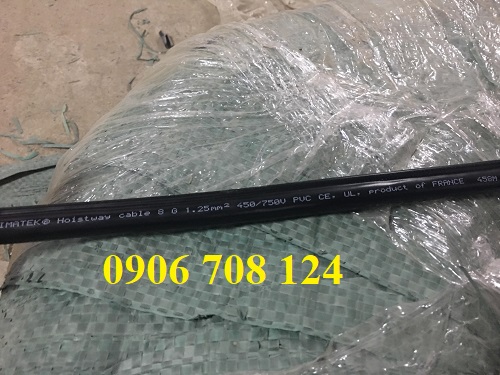 Cáp điều khiển cho tay bấm cầu trục Cáp điều khiển cho tay bấm cầu trục