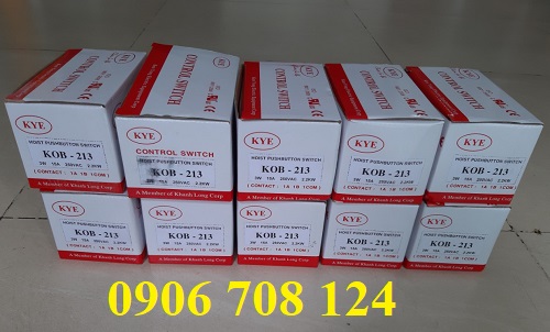 Tay bấm điều khiển 2 nút trực tiếp KOB - 213 Tay bấm điều khiển 2 nút trực tiếp KOB - 213
