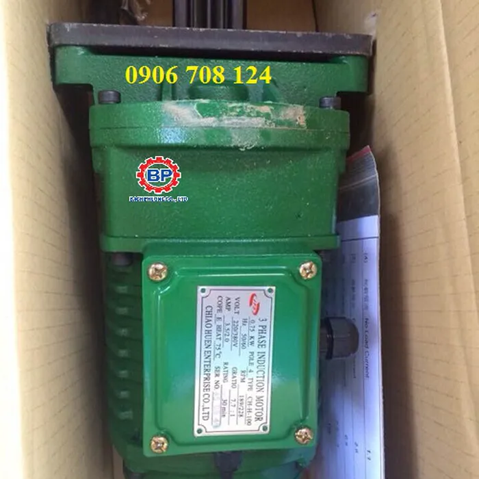 Mô tơ giảm tốc dầm biên đài loan