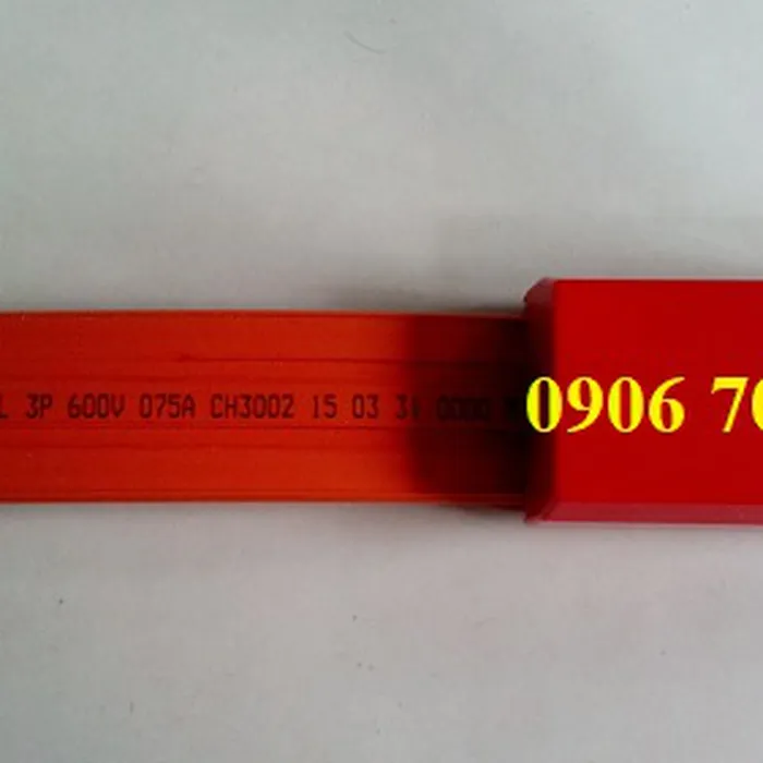 Ray điện an toàn ITS