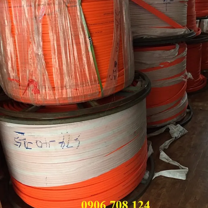 Ray điện cầu trục 3P-100A