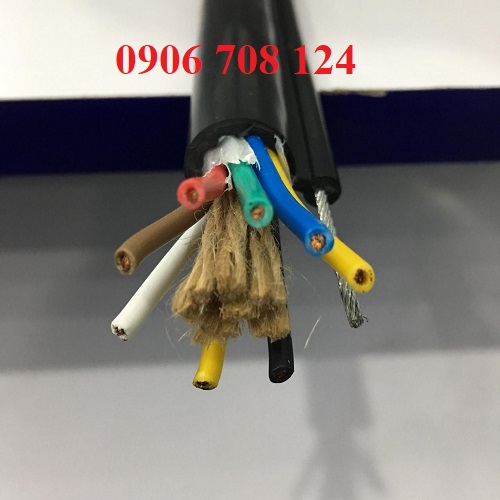 Dây cáp điều khiển cho tay bấm cầu trục Dây cáp điều khiển cho tay bấm cầu trục