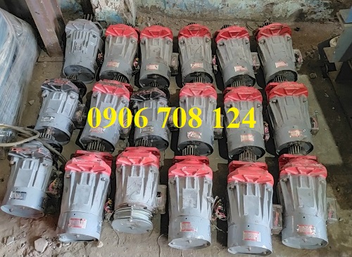 Mô tơ dầm biên Nippon nhật cũ Mô tơ dầm biên Nippon nhật cũ