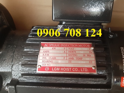 Motor dầm biên cầu trục LGM Motor dầm biên cầu trục LGM