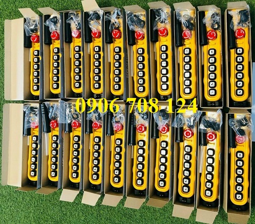 Tay bấm điều khiển cầu trục 6 nút Tay bấm điều khiển cầu trục 6 nút
