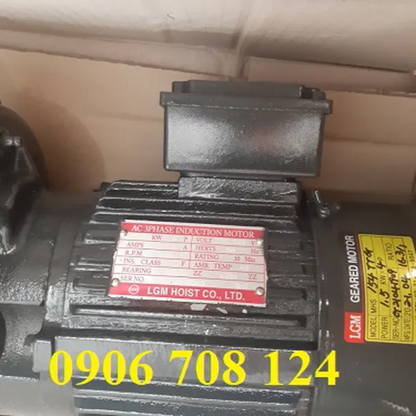 Mô tơ dầm biên LGM 1.5kw x 4P