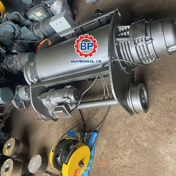 Palang điện Nhật cũ 5 tấn dầm đôi