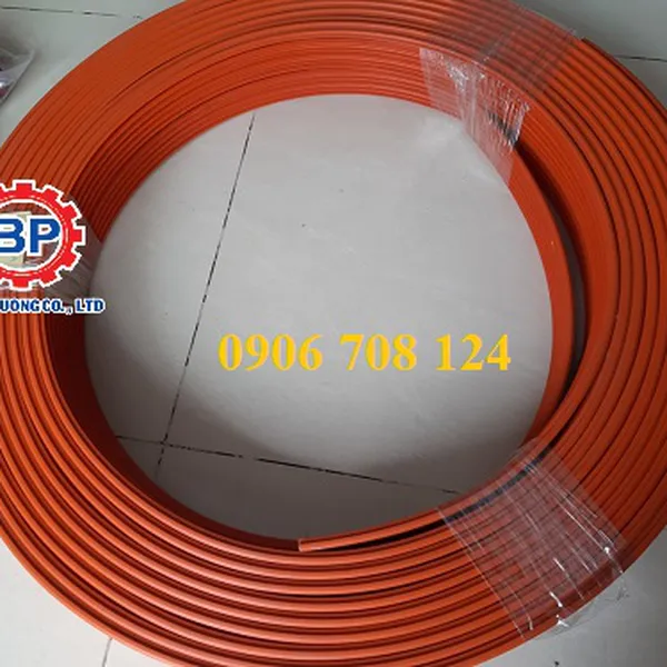 Ray điện an toàn cầu trục 3P 100A