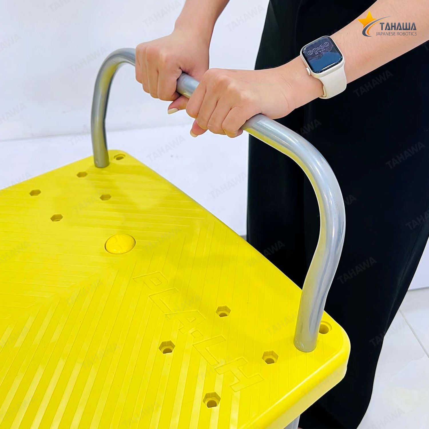 Xe đẩy hàng sàn nhựa TAHAWA 170-T2, có 2 tầng Xe đẩy hàng sàn nhựa TAHAWA 170-T2, có 2 tầng