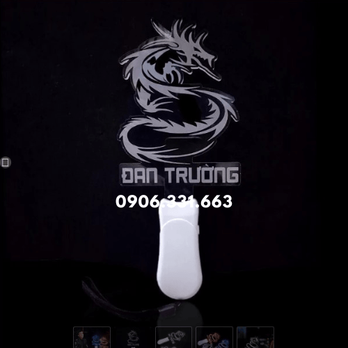 In light stick 2D ca sĩ Đan Trường