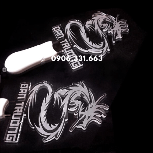 In light stick 2D ca sĩ Đan Trường