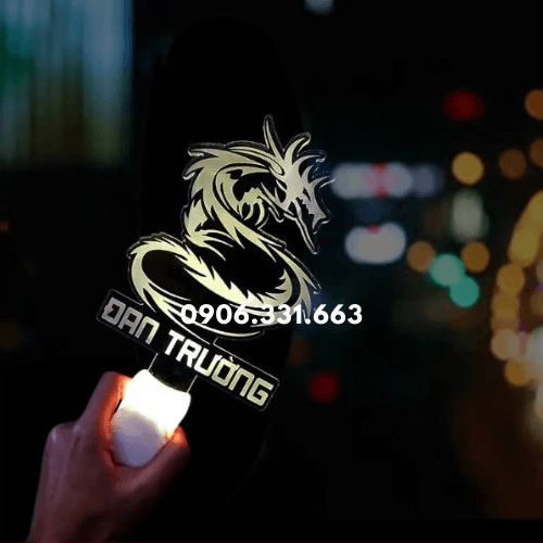 In light stick 2D ca sĩ Đan Trường