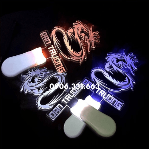 In light stick 2D ca sĩ Đan Trường