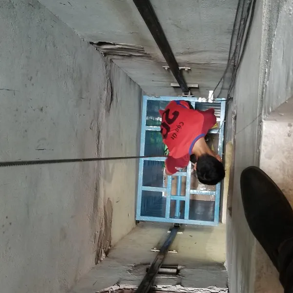 Thang nâng hàng 300kg