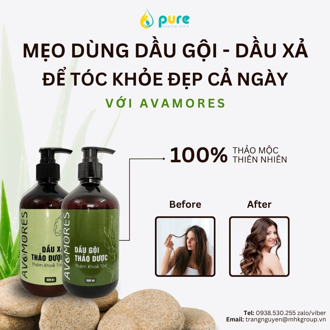 avamores-meo.jpg