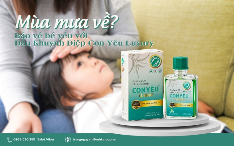 dau-khuynh-diep-mua-mua.jpg