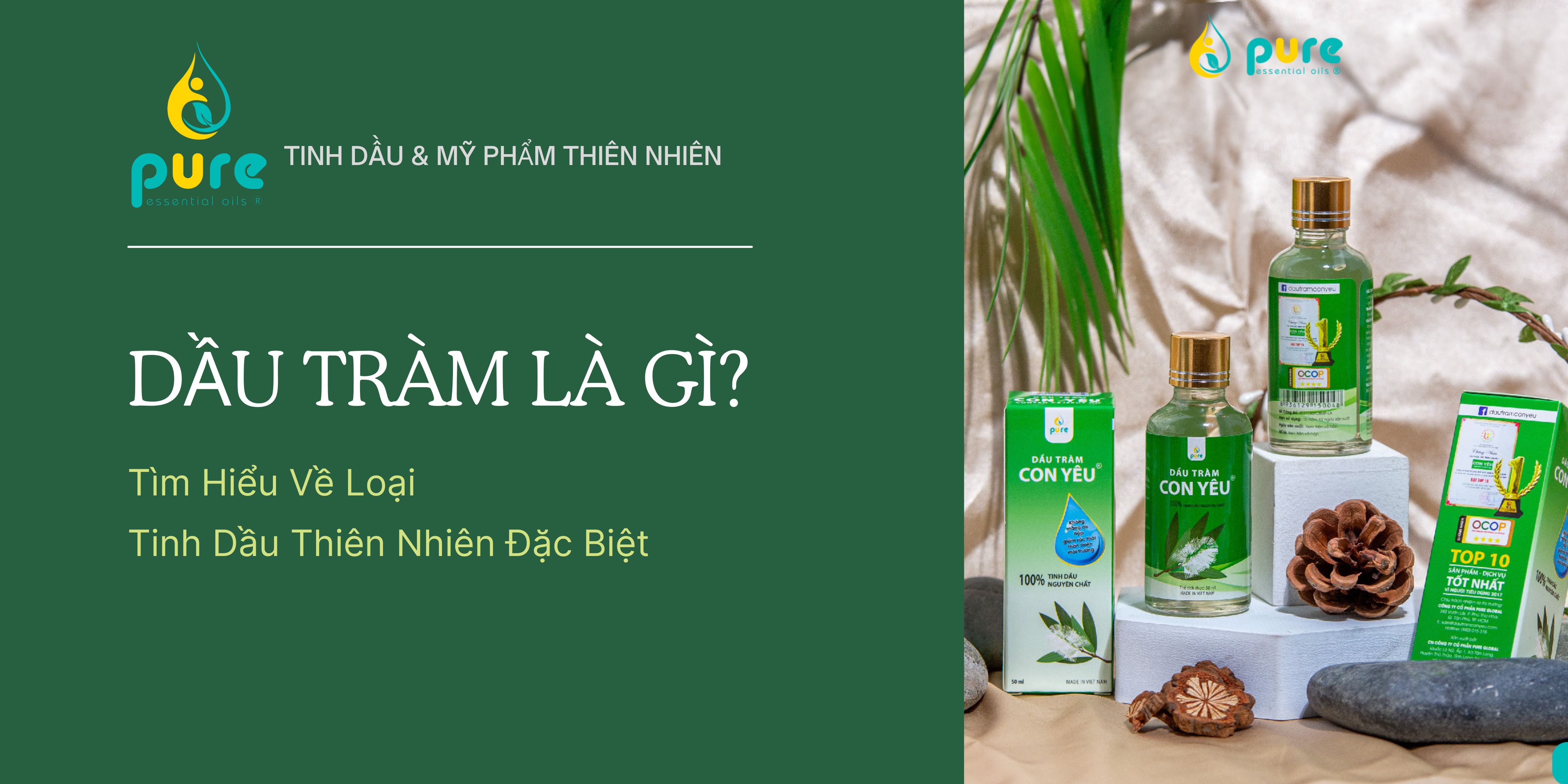 dau-tram-la-gi.jpg