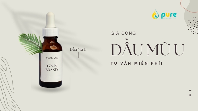 gia-cong-dau-mu-u1.jpg