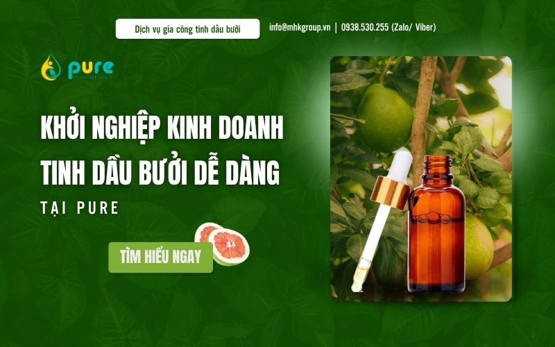 Dịch vụ Gia công Tinh dầu Bưởi Trọn gói, Uy tín | PURE GLOBAL